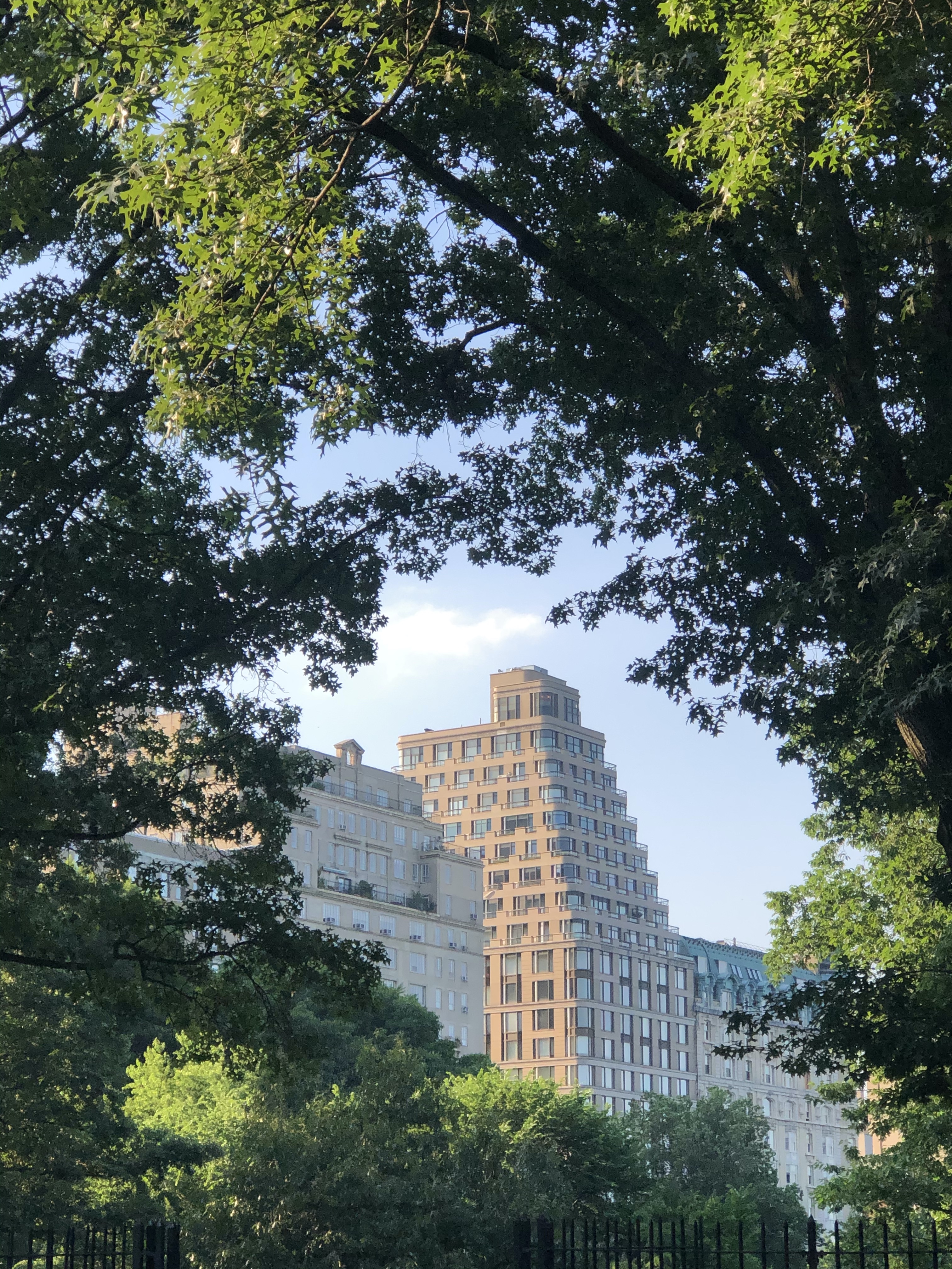 On getting disoriented in Central Park